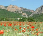 Hotel La Freixera a Solsona (Catalunya - Espanya)