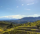 Hotel Cal Llop a Gratallops (Catalunya - Espanya)